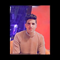 محمود الفقي
