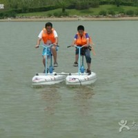 徐银丽
