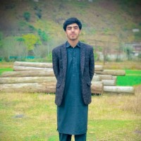 Raja Aryan