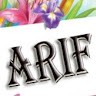 Mohd Arif