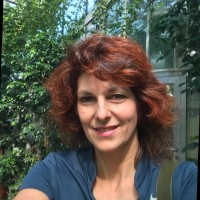 Nicoletta Monti