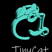Tiny Cat
