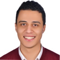 Hassan El-Sobky