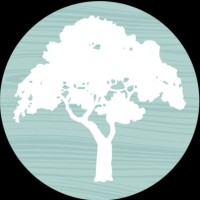 The Balsa Group