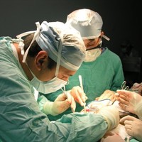 Luis Manuel Domínguez Parra