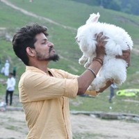 Anil Sharma