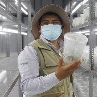 Lester Gleyser De Los Santos Pazos