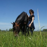 Willeke Adriaanse