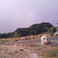 Mohamad Saoud
