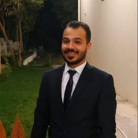 Hesham Mohammad Ragheb