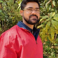 Vikas Raaz