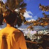 Theodore Fu