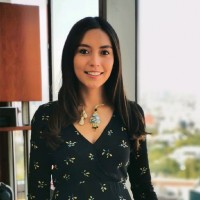 Erika Mitsue P.