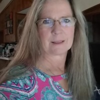 Teresa Stout