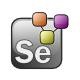 SeleniumTrainer Bhushan