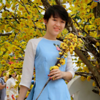 Phuc Hau Pham