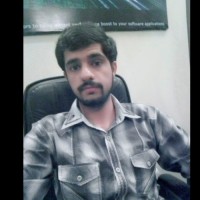 Hamza Anwar