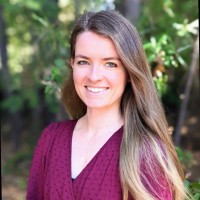 Allie Link, Msw, Lcsw, Licsw, Cyt