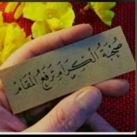أبو نايف