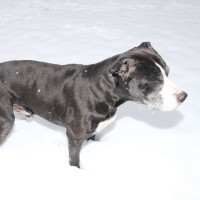 Christopher Phillips