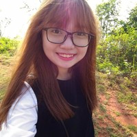 lan nguyen