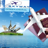 Skyway Work Permit Visa