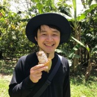 奥翔太郎