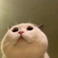 许聪杰