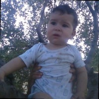 Saidi Hayfa