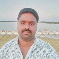 Ravi Kumar V L