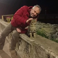Cemil Yüksel
