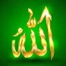 Farhat Majeed