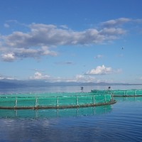 Tawedzera Bvunzawabaya