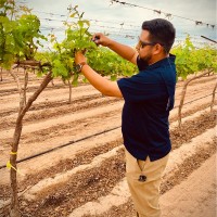 Joaquin Obed Torres Scott