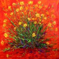 Nicola Schelley