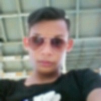 Sea_ Hawk