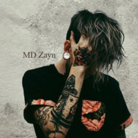 Md Zayn
