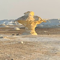 White Desert Camp Safari