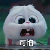 赵书康