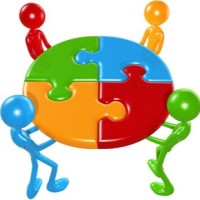 Organisatie Deskundige