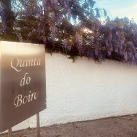Quinta do Boiro