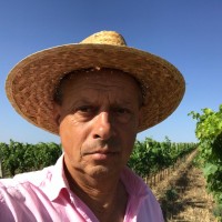Francesco ventricelli