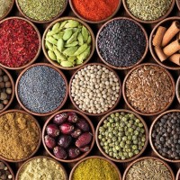 Pacific Ruby Exports and Imports