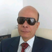 Amr Mohamed
