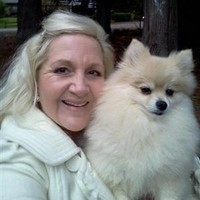 Sheri Bandy