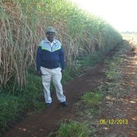 Samuel Ngwenya
