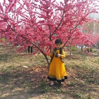 Misbah Ullah