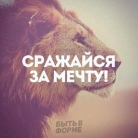 Vladimir Neteda