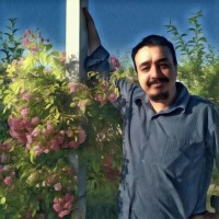 نبی بندار