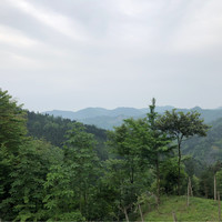 xiaodong huang